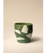 Chata (š)